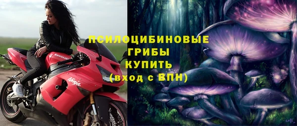 спайс Белокуриха